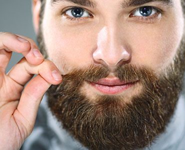 La Greffe De Moustache